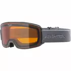 Ochelari de schi/snowboard ALPINA M40 NAKISKA DH gri A7281123