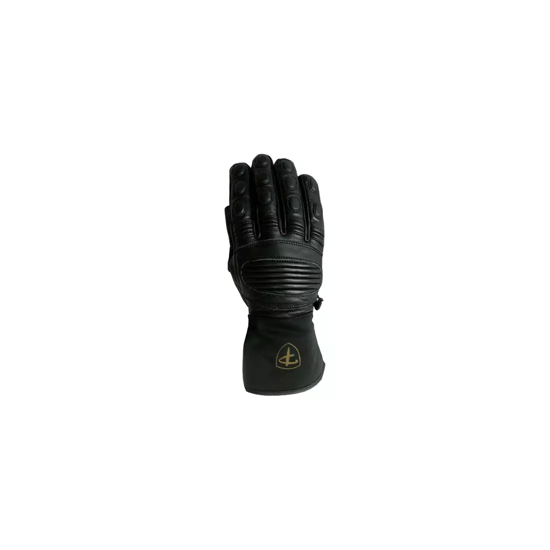 Polednik mănuși de iarnă , SKI PRO 3M, negru
