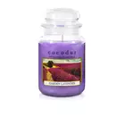 COCODOR lumânări parfumate garden lavender 550 g