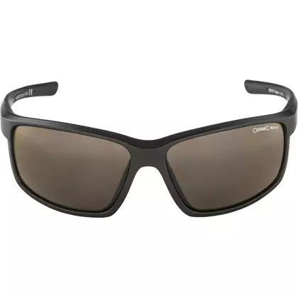 ALPINA DEFEY ochelari de ciclism/spor, tin-black matt